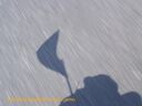 espa1078.jpg