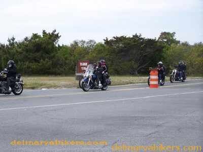 sbwt1039.jpg