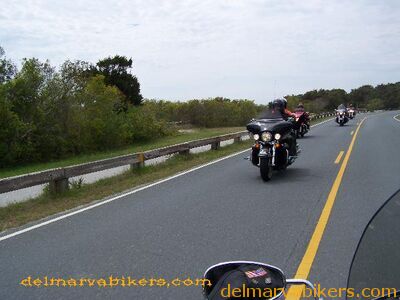 sbwt1048.jpg