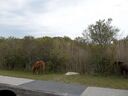 100_0348-640.jpg