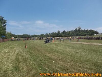100_0676.jpg