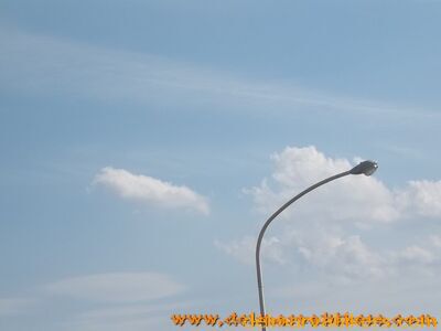 100_1245.jpg
