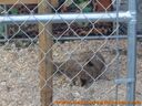 100_0765.jpg