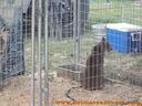100_0767.jpg