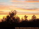 100_0791.jpg