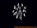 100_1095.jpg
