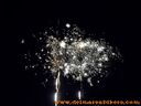 100_1151.jpg