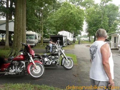 SAM_5176-640.jpg